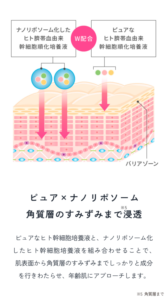 ピュア×ナノリポソーム 角層のすみずみまで浸透